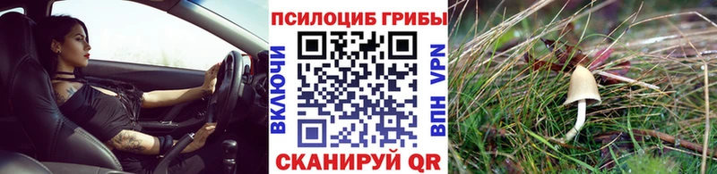 где купить   Мамоново  Псилоцибиновые грибы мухоморы 